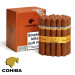 cohiba siglo VI sao jose do rio preto